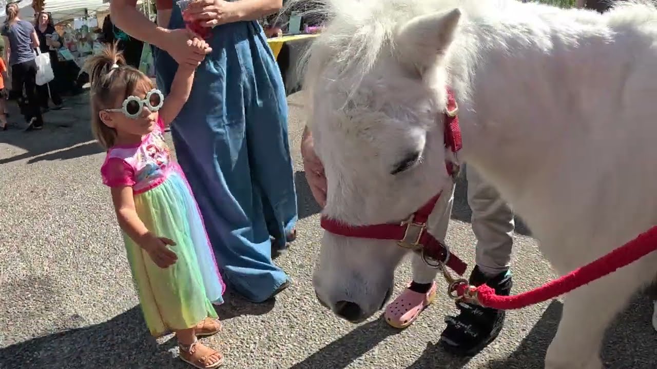 Lt. Rowdy at Simi Valley Street Fair 4 of 10 102624