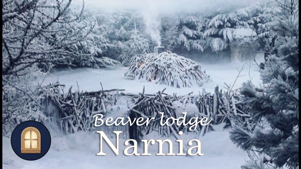 Inside the Beaver Lodge in Narnia 🦫 | Cozy Fireplace & Kitchen ASMR Ambience