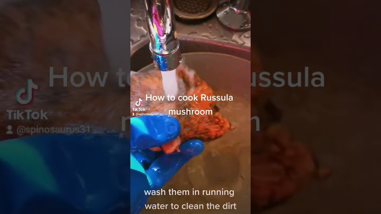 How to cook Russula mushroom