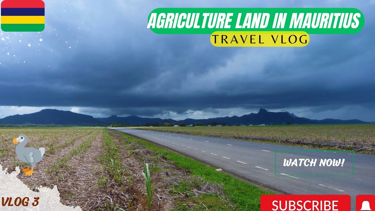 Explore Mauritian Village And Agriculture  Area | Flac District | #mauritius #mauritiuscountry