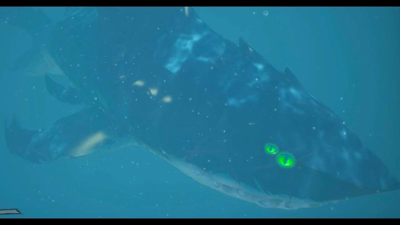 DATECO & FAVIJ VS SQUALO GIGANTE !