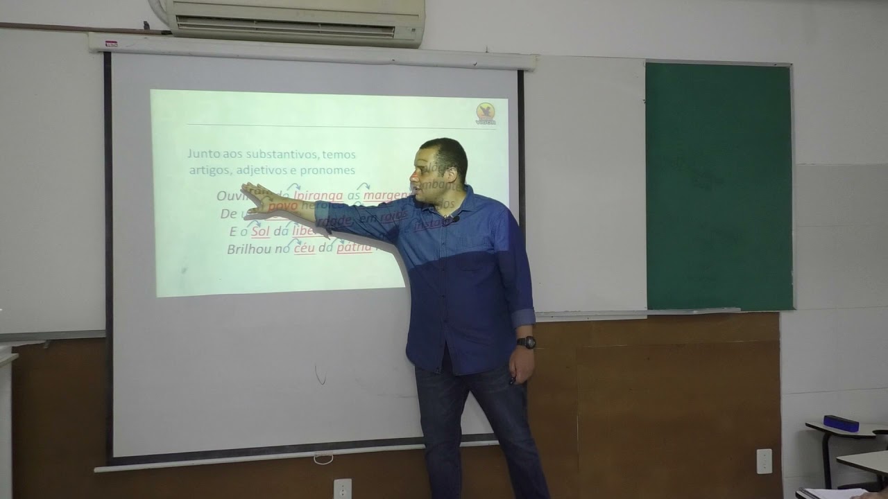 Português - Prof° Vinícius Souza - Reconhecimento das Classes Gramaticais
