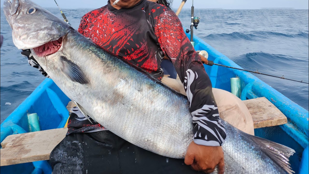 Mancing barakuda monster besar di spot SBM Cilacap