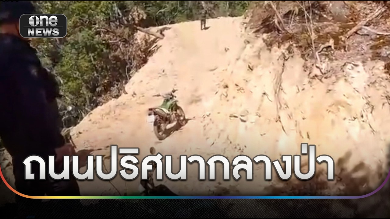แฉขบวนการรุกป่าแม่ยวม ลอบตัดถนนขนของเถื่อน | ข่าวเย็นช่องวัน | สำนักข่าววันนิวส์