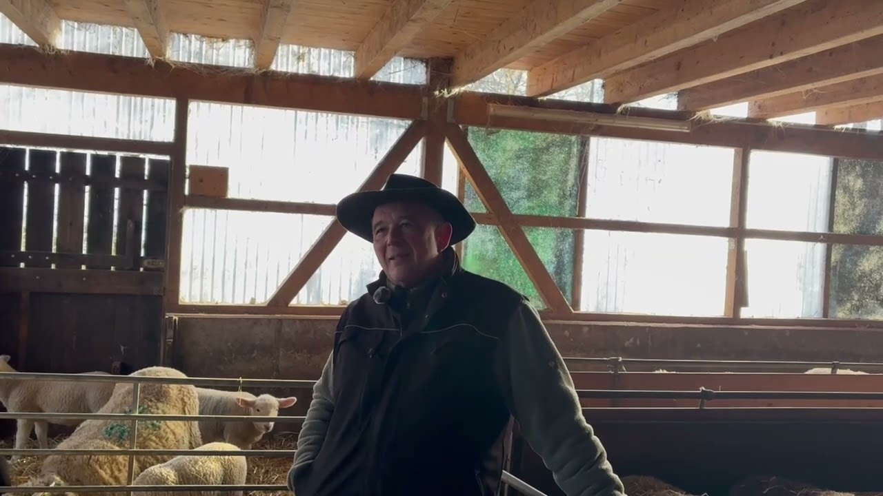 Der Schäfer - Ein Beruf Zwischen Tradition Und Natur