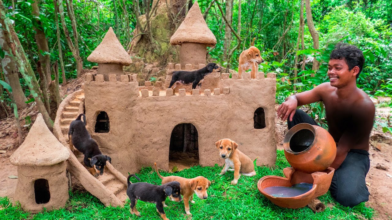 Collect Abandoned Puppy and Build Castle Mud Dog House on Unused Ant Hill