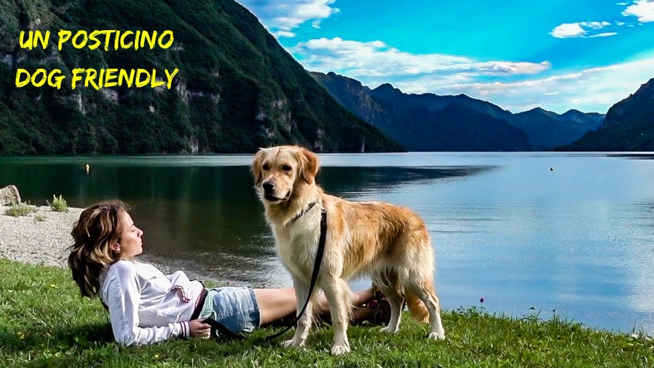 Lago d'Idro - Un posticino dog friendly