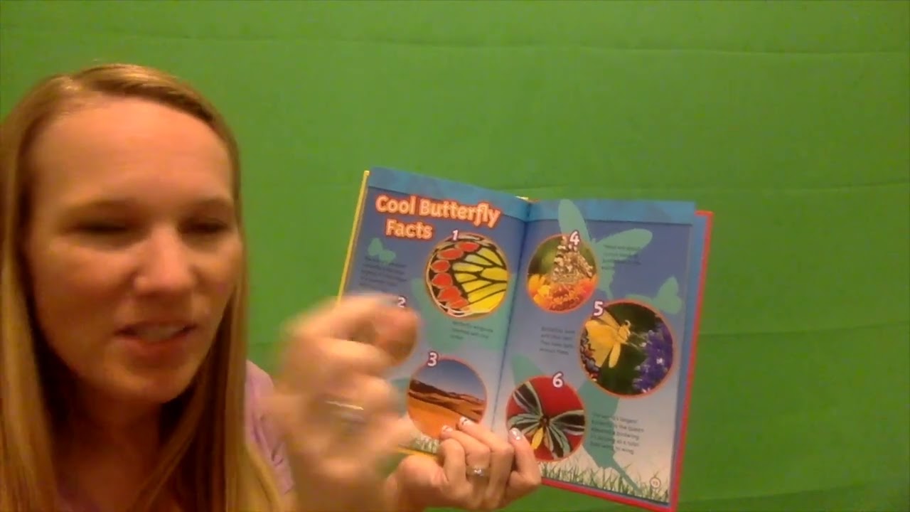 Caterpillar to Butterfly