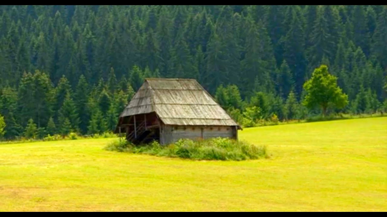 MLADI DOMACIN DRZI 30 KRAVA I 100 OVACA. TONU SIRA PRODA