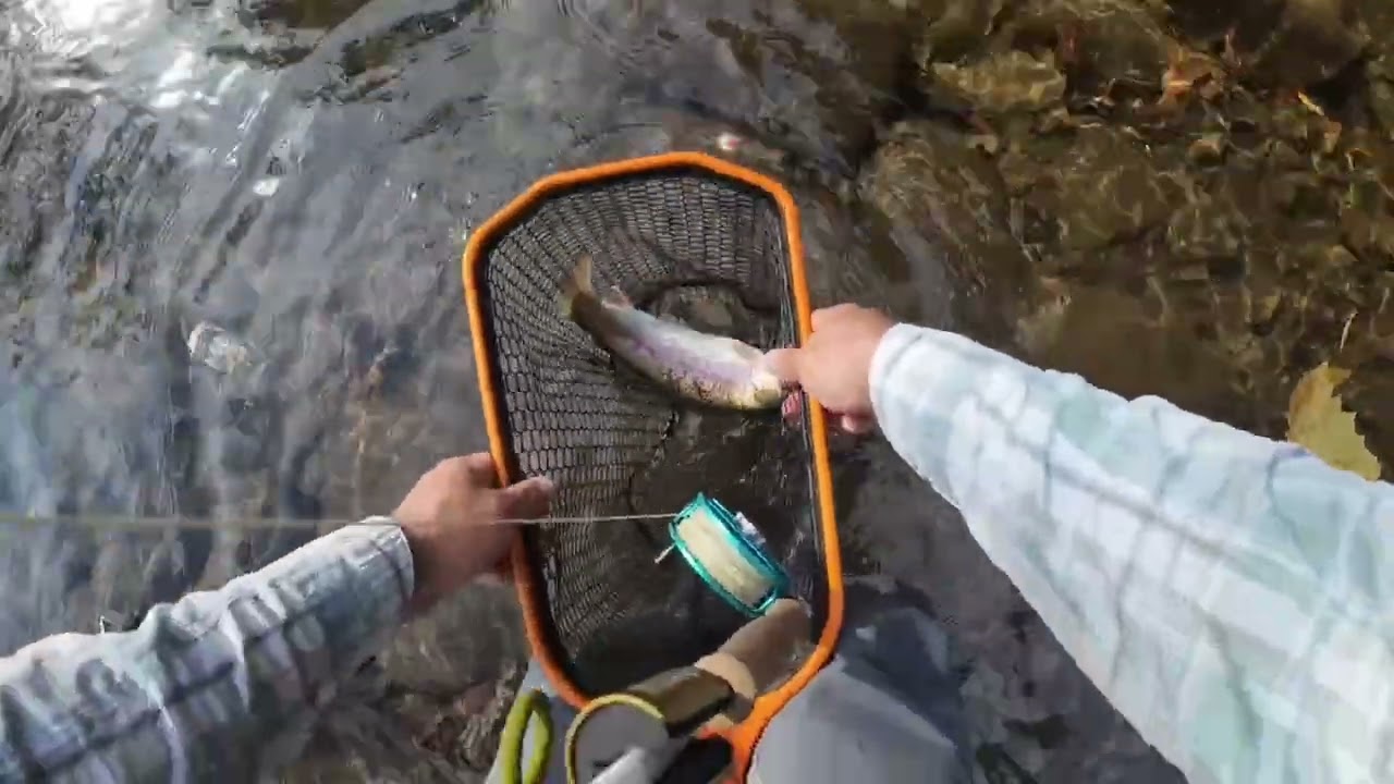 Crazy bite on warm fall days.