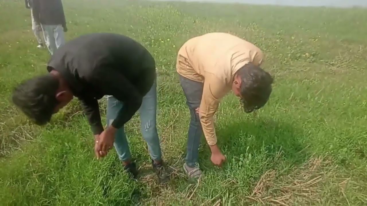 नीमो नाथ मंदिर, बिहार neemo naath mandir, Bihar #shorts #trading #video #vairalvideo 