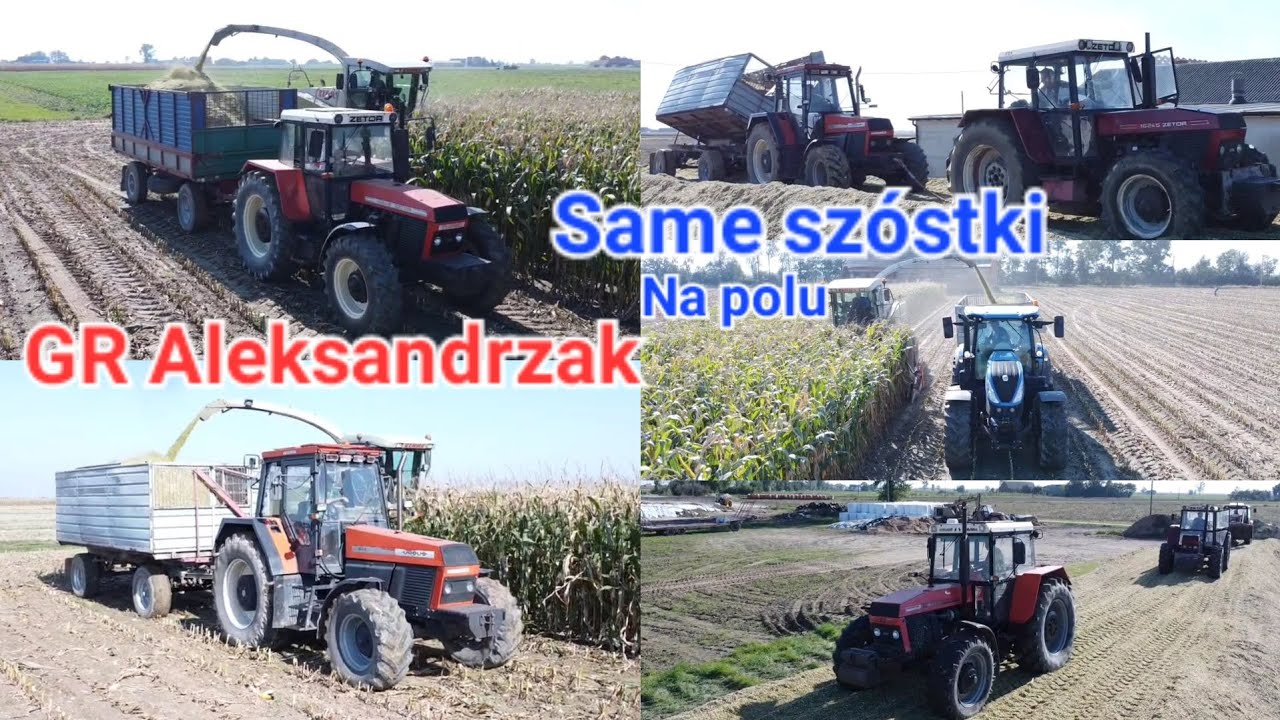 Same szóstki na polu🔥 U GR Aleksandrzak🚨(7x Zetor & 3x Ursus & Newholland🚜)