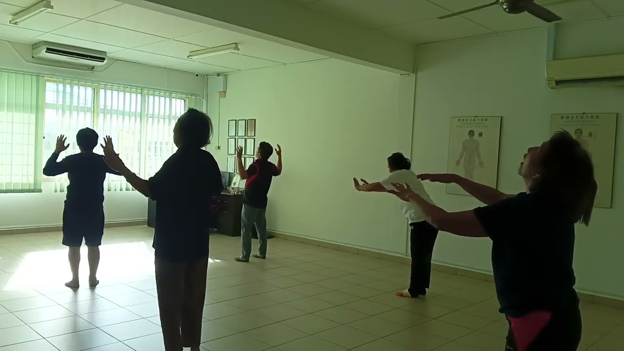 Kota Kinabalu group Chi Kung class