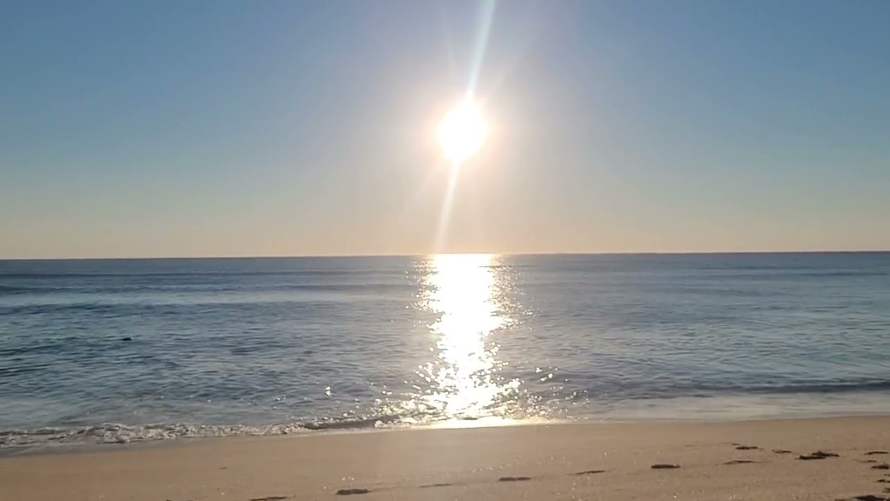 Cape cod Beach with relaxing waves. Seals make an appearance!