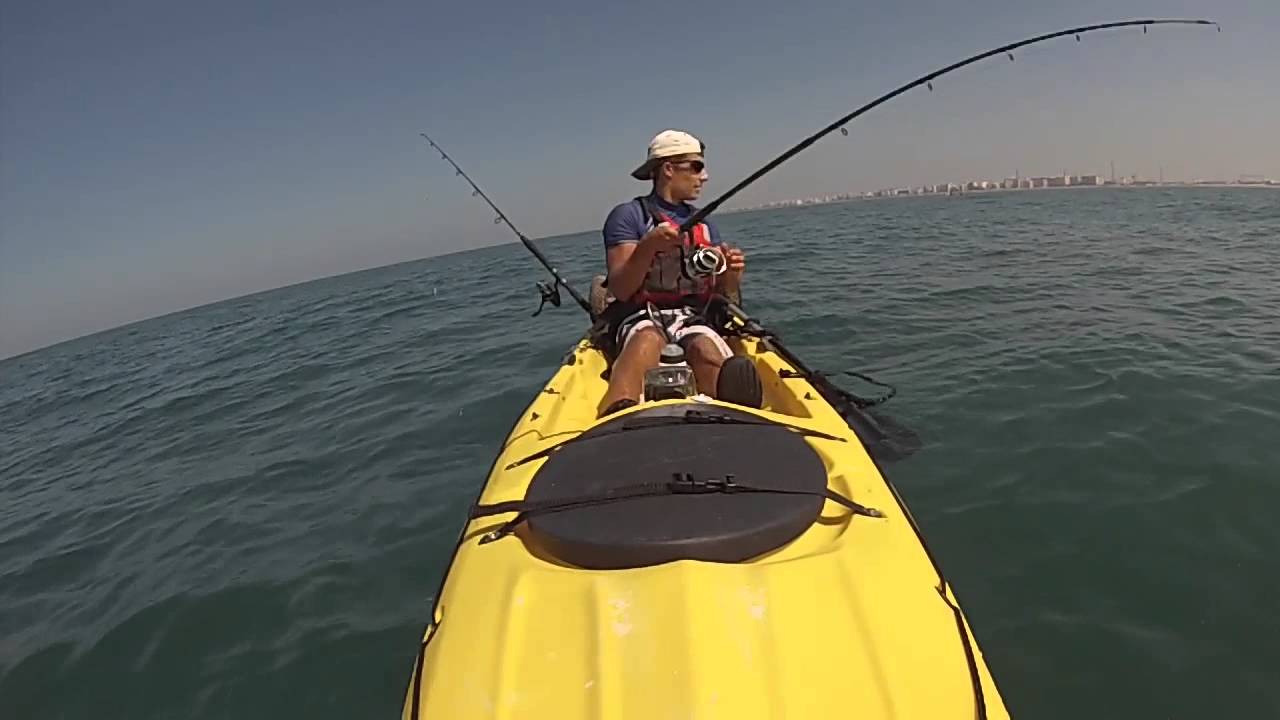 Pesca en kayak de chova al vivo. Captura y suelta.
