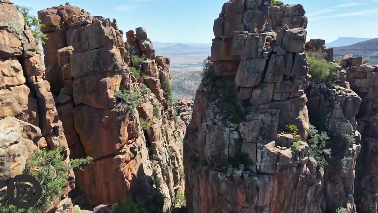 Seal Point to  Underberg