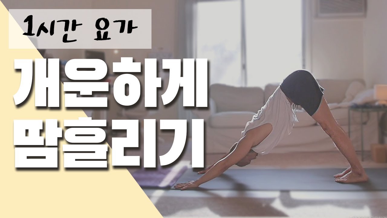 땀을 흠뻑 쏟는 전신 유산소 요가 플로우 | 1시간 요가 | 요가소년 227