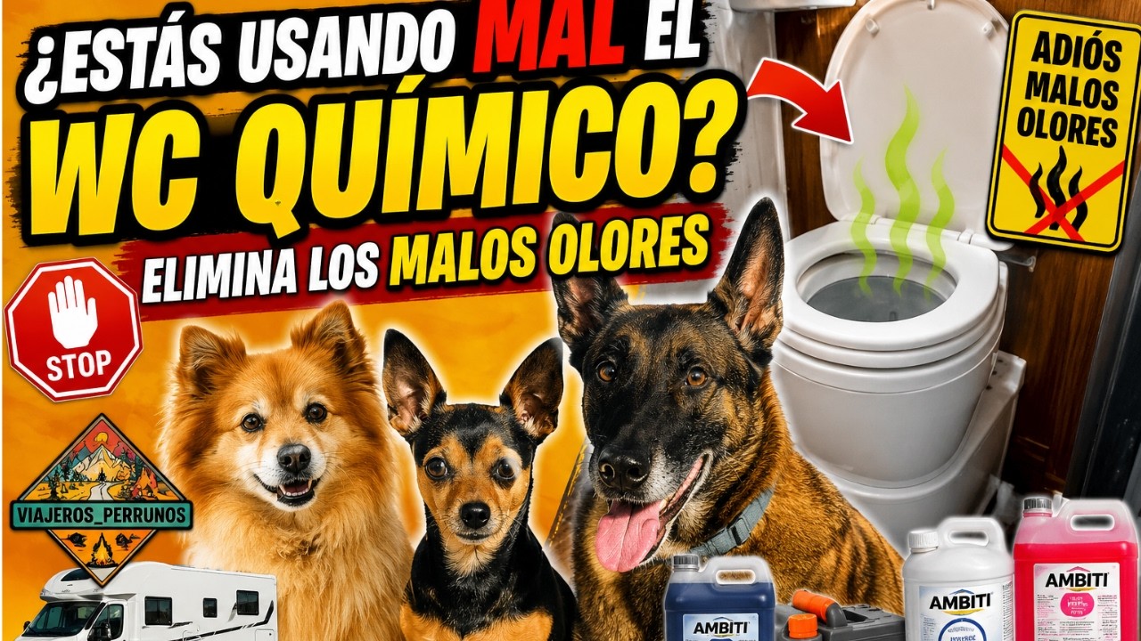 Malos Olores en la Autocaravana