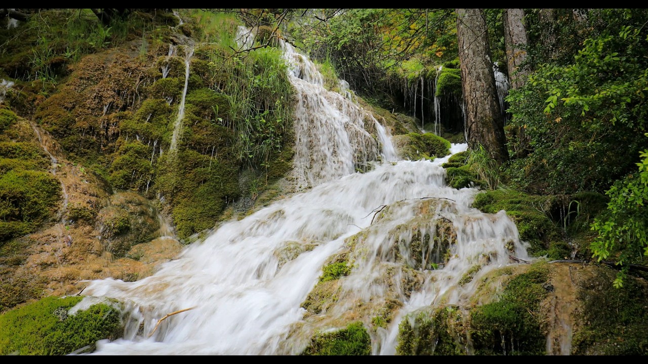 Peaceful Forest Waterfall 🌿💧 Relaxing Nature Sounds for Sleep & Meditation