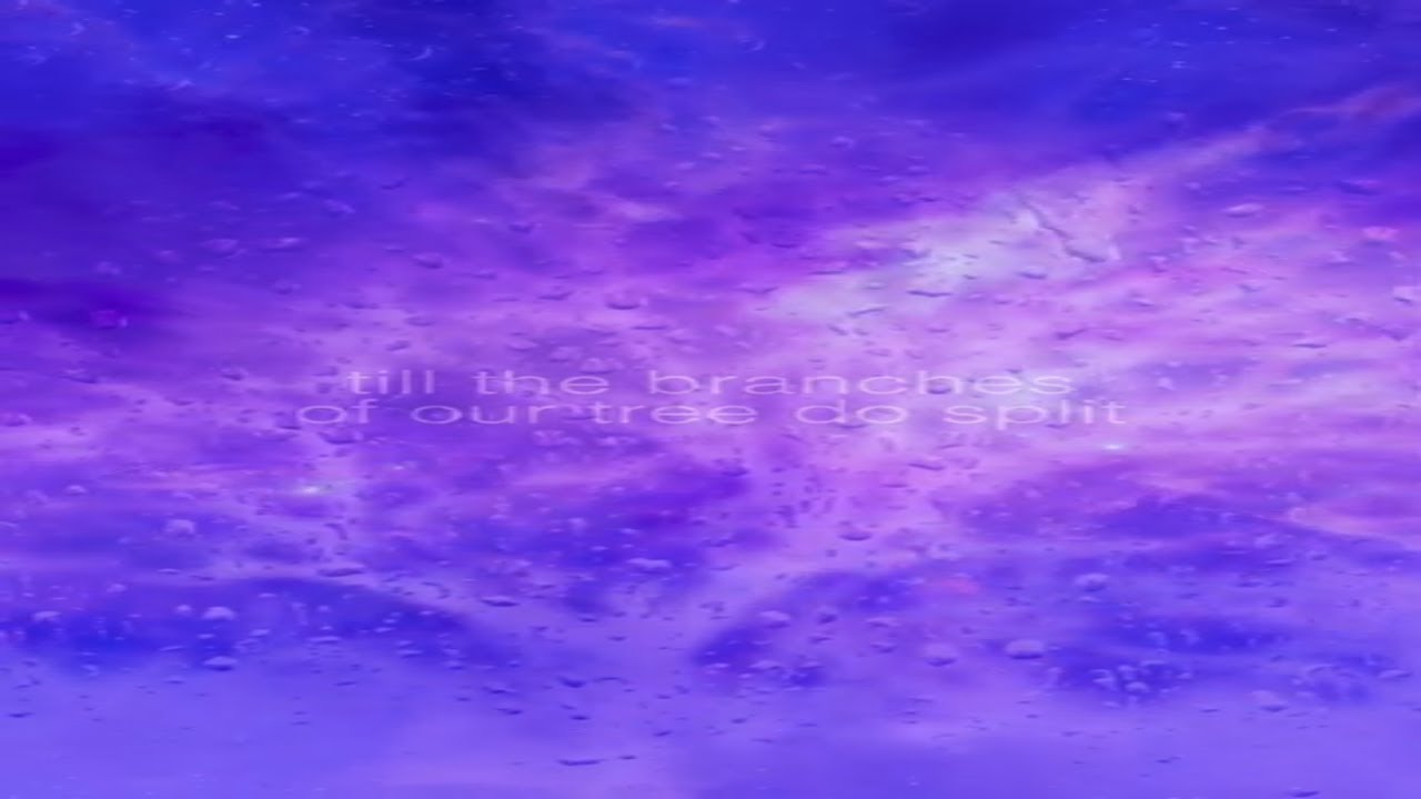 Slender Dan - Branches (lyric video)