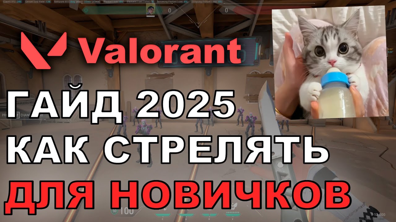 ГАЙД \ СТРЕЛЬБА VALORANT 2025 \ БАЗОВЫЕ АСПЕКТЫ ДЛЯ НОВИЧКОВ (EDPI, ДЕВАЙСЫ, ТРЕНЕРОВКИ)