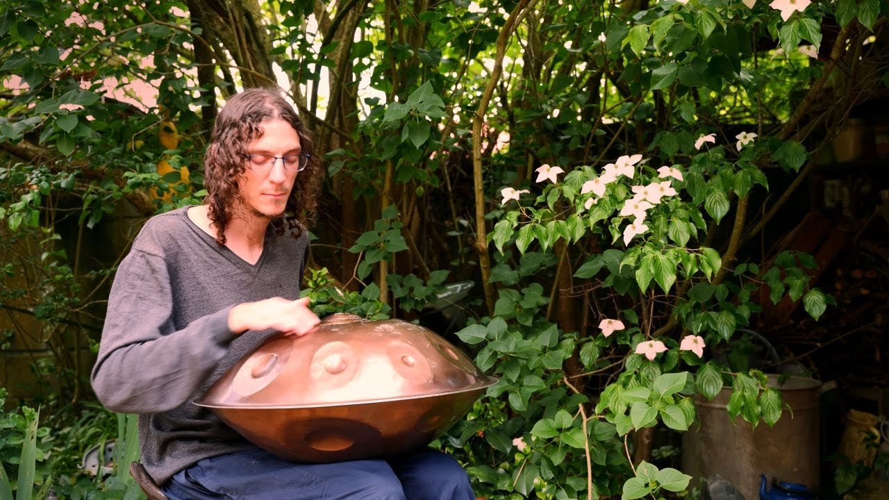 Gentle Flow | 30 minute handpan meditation | F# nordlys