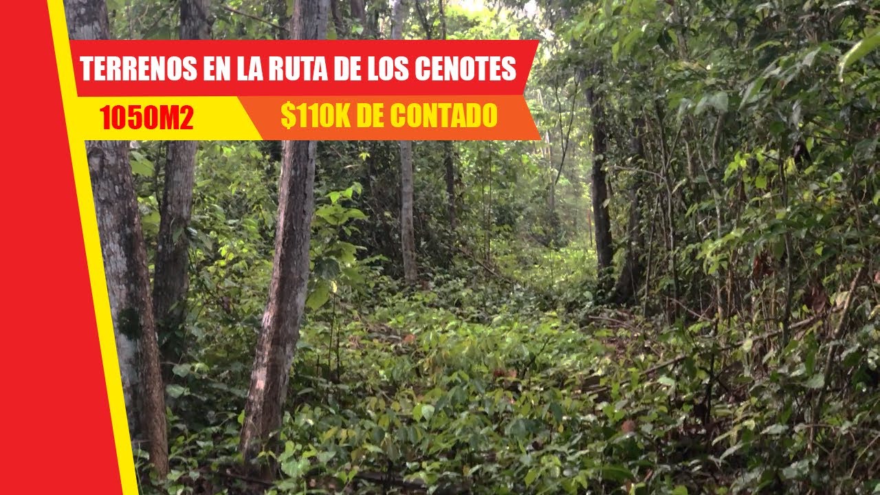 Terrenos En La Ruta De Los Cenotes