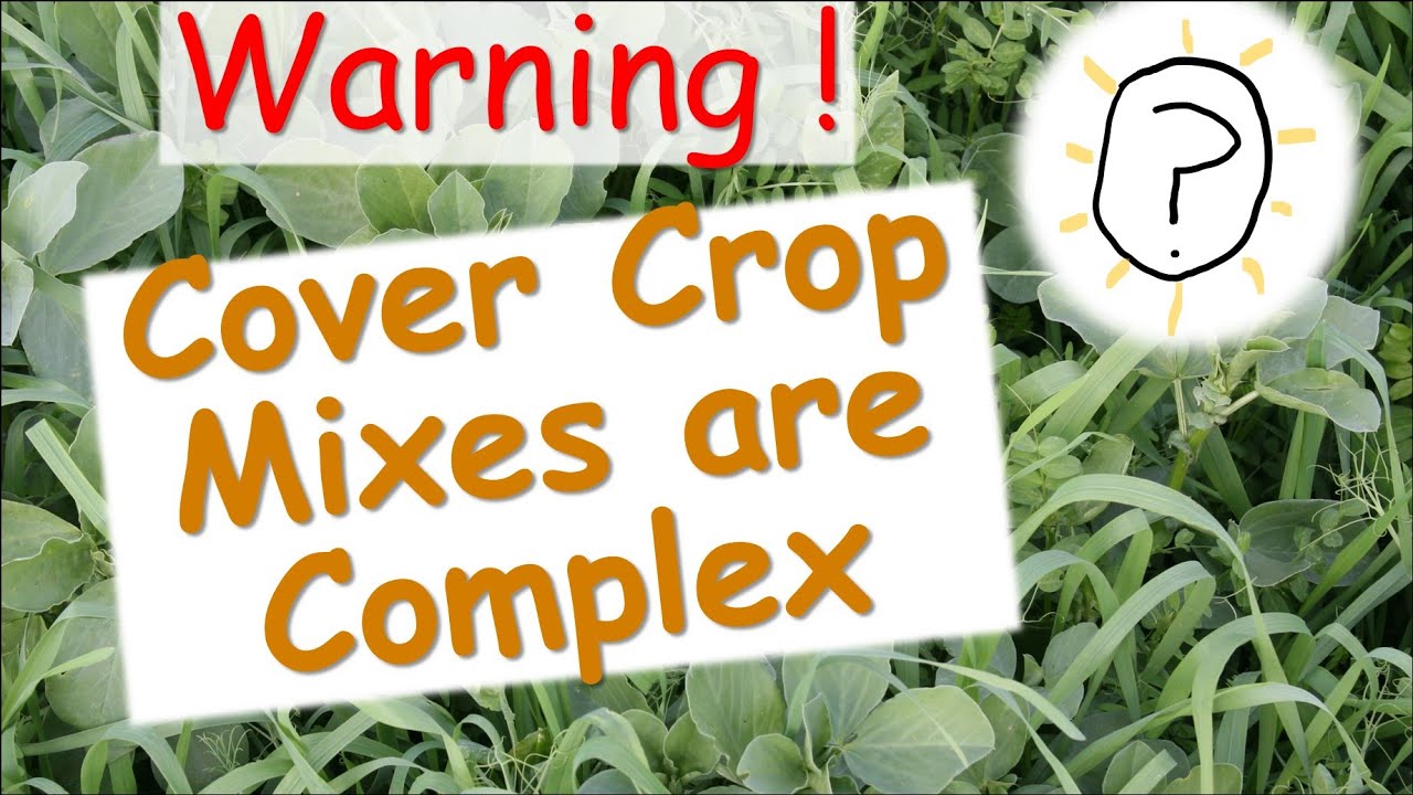 Are LEGUME-CEREAL cover crop mixtures a GOOD FIT for organic VEGETABLE production?