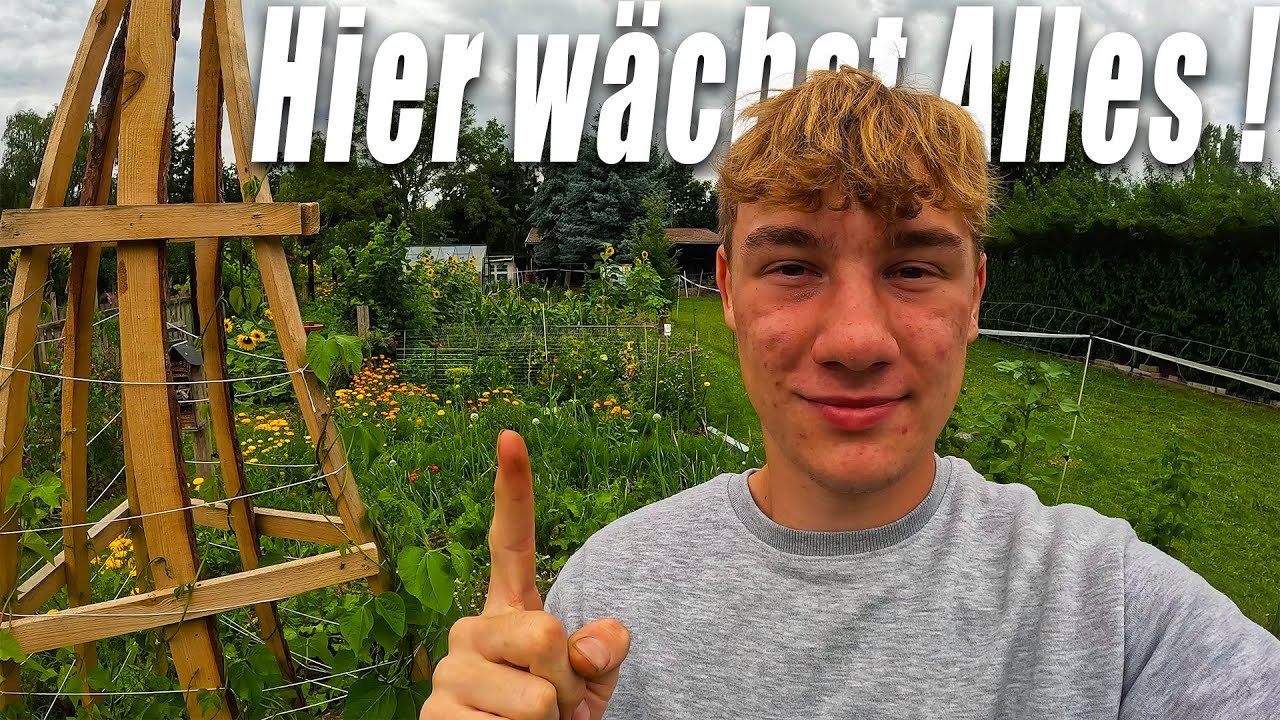 Unser Gemüsegarten: Alles was wir anbauen !
