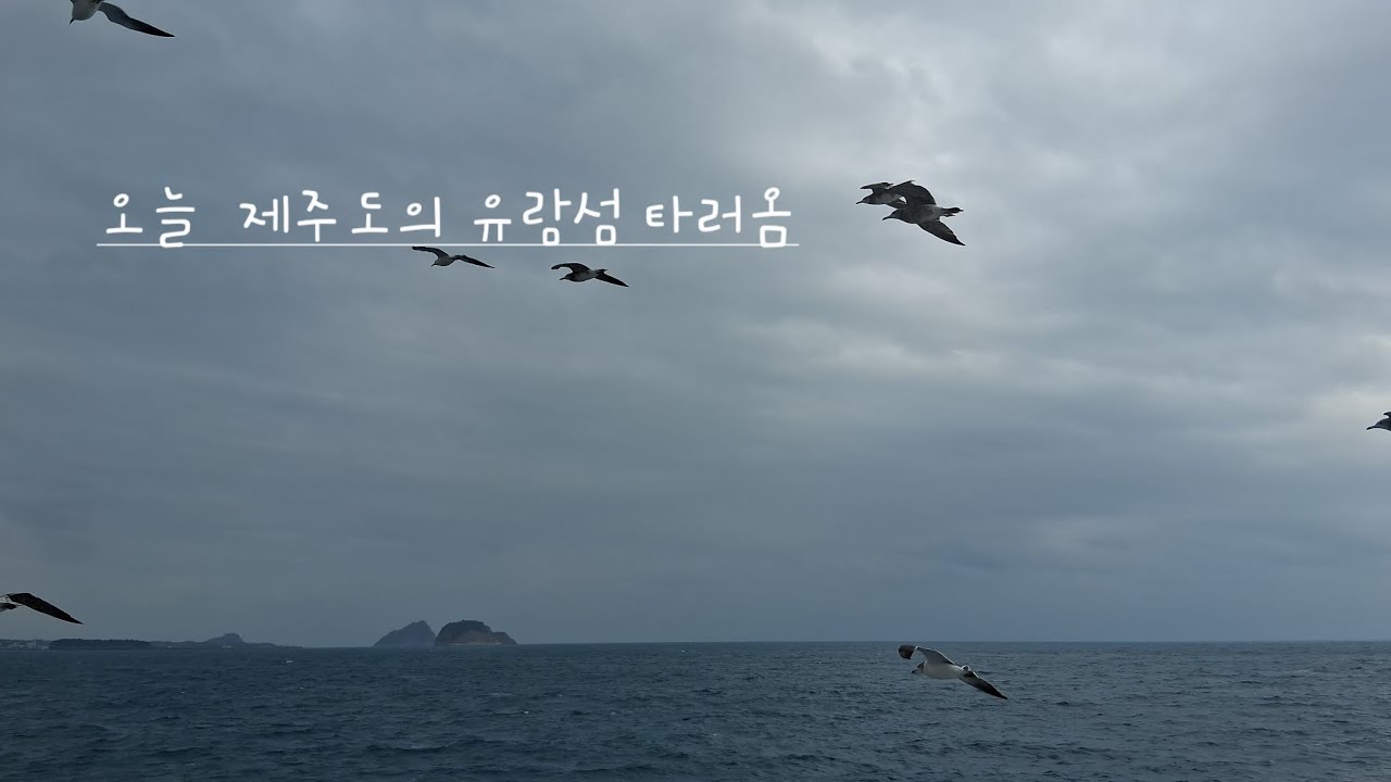 #제주도#제주올패스  4편-제주도편#진피디#류건 