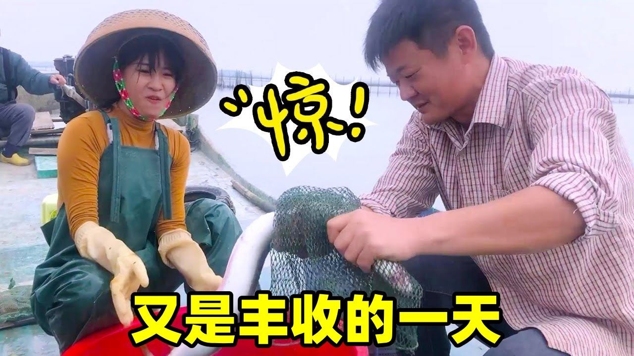 又是大丰收的一天，阿渔妹当场公开市场价格，想都不敢想【阿渔妹】