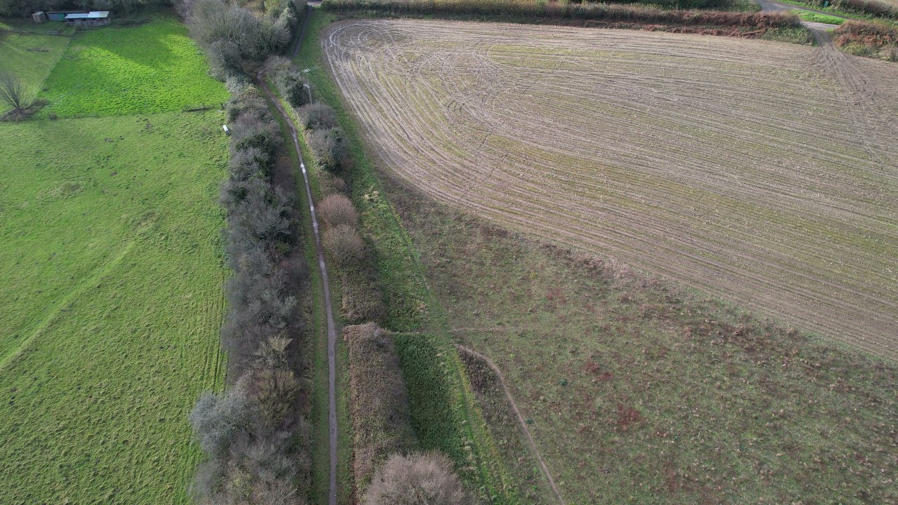 Bridport Branch 2021