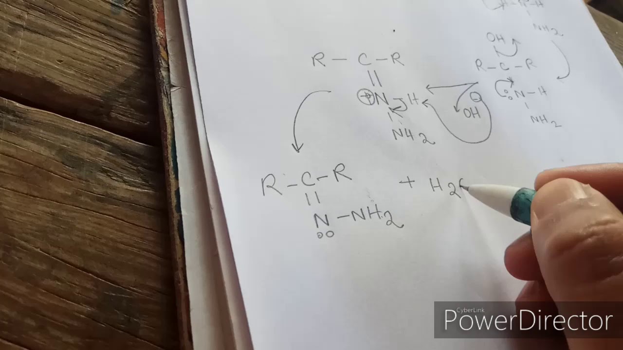 Wolf Kishner reduction mechanism.