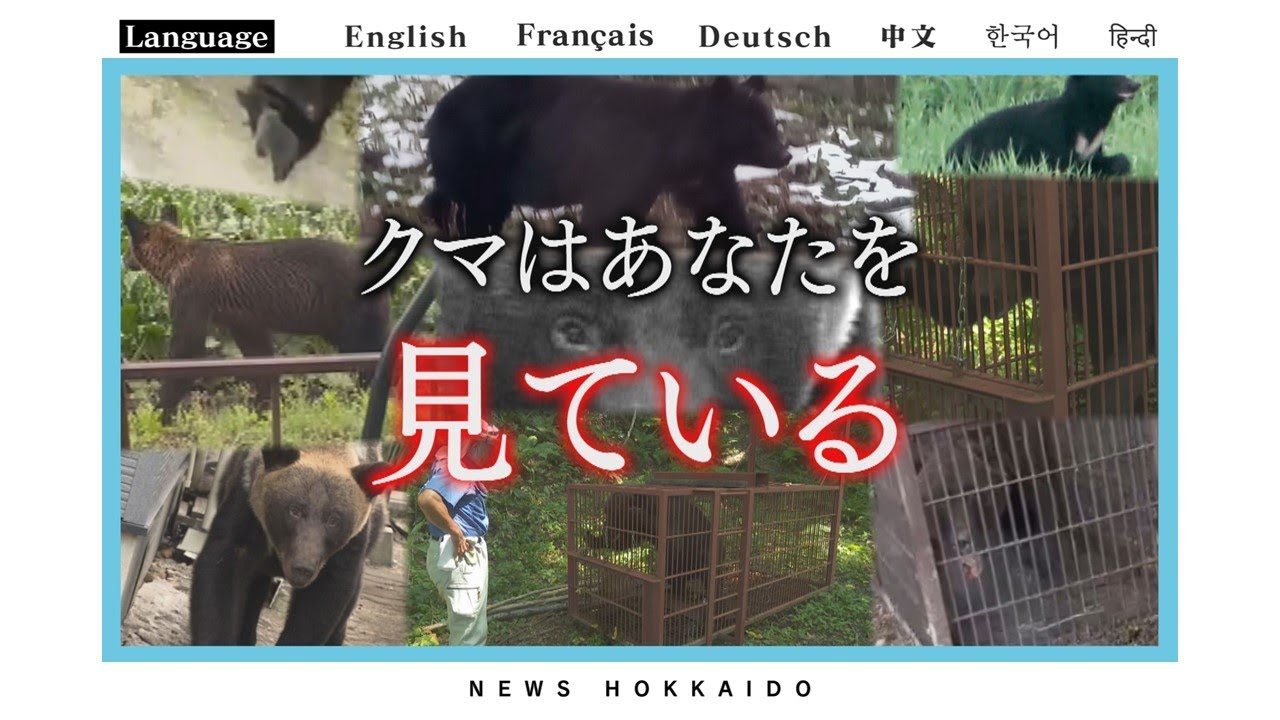 クマ１００頭を捕獲したハンター　相次ぐ襲撃被害　揺らぐ人里と森の境界