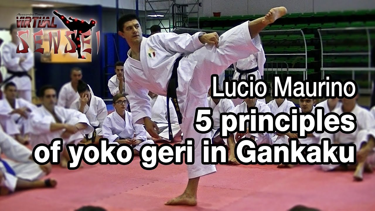 Lucio Maurino - 5 principles of yoko geri in Gankaku - Karate All Stars 2013