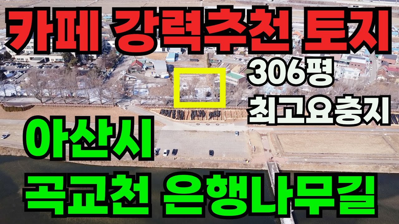 [매물 427] 은행나무길 접한 토지매매, 브런치카페 강력 추천 부지, 곡교천 은행나무길 축제거리에 접한  귀한 토지매물