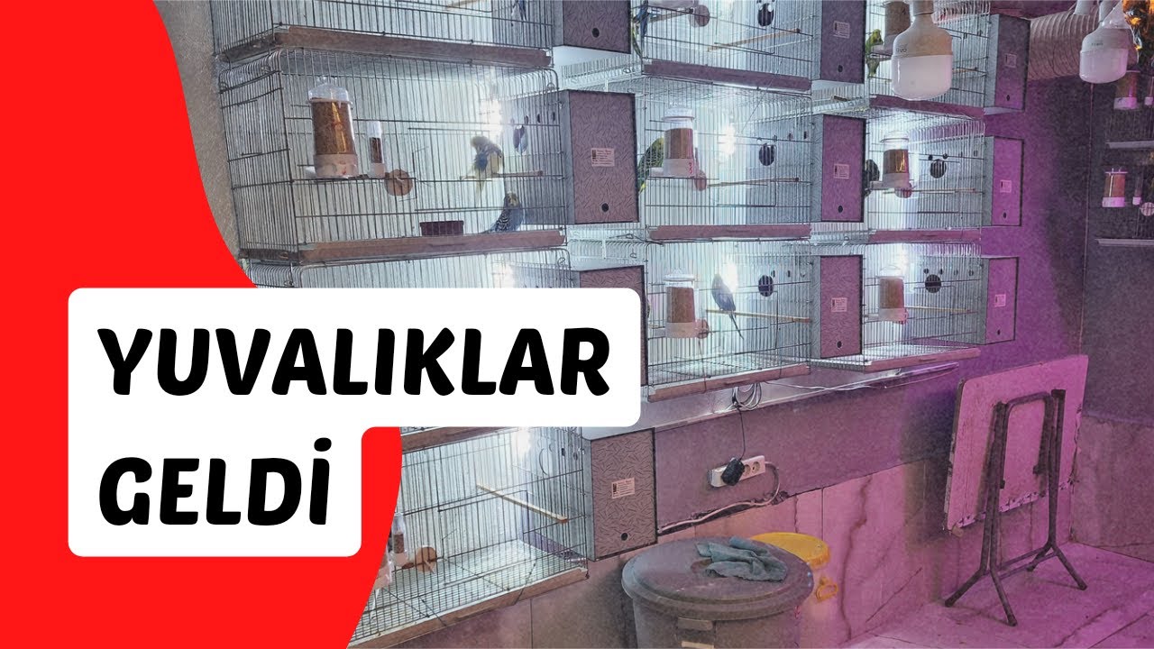 KOMPOZİT YUVALIKLARIMIZI ÜRETİM KAFESLERİMİZE TAKTIK