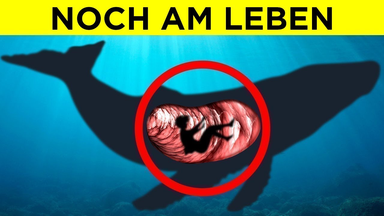Unglaubliche Orte, An Denen Menschen Gefunden Wurden [Teil 2]