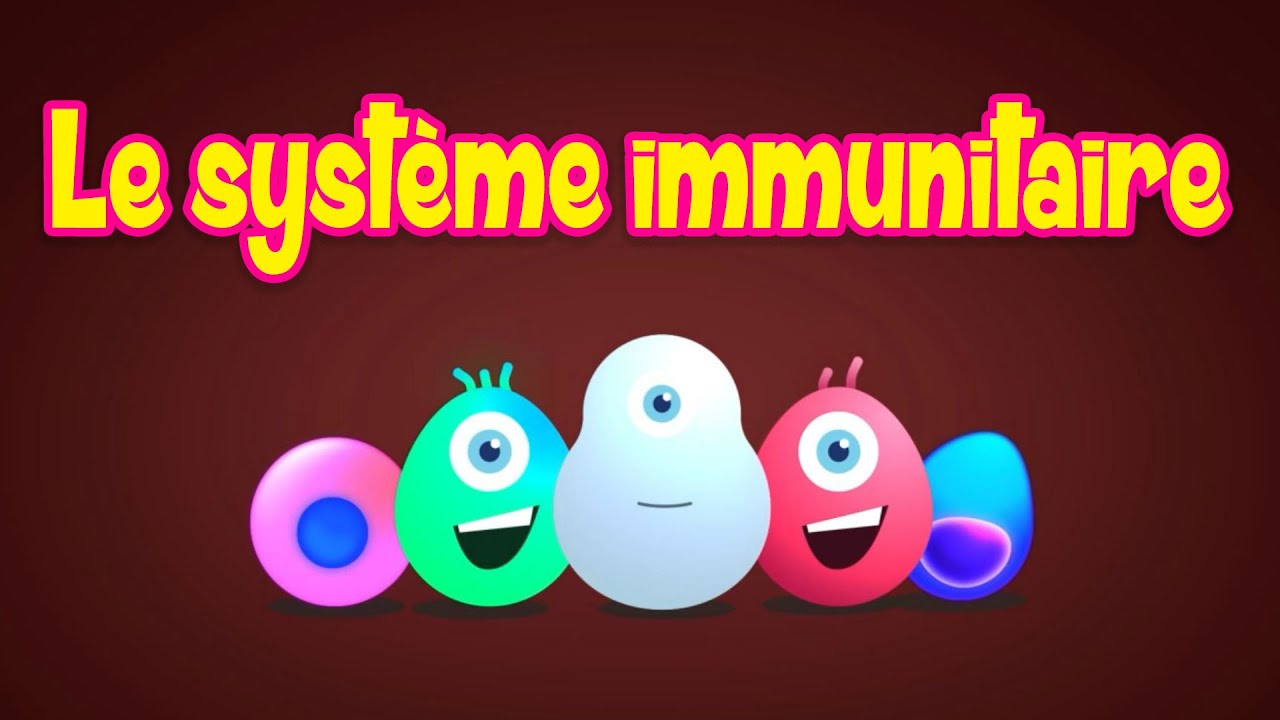 Le syst&egrave;me immunitaire expliqu&eacute; | Biologie simple | R&eacute;ponse immunitaire | 13+