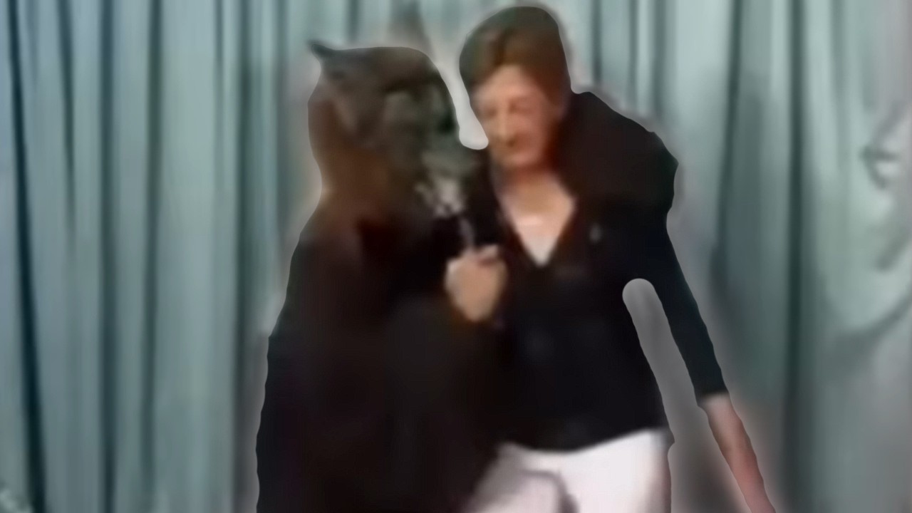 TE COME EL LOBIZON 🐺🐺