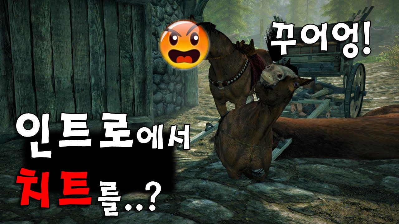 스카이림 인트로에서 