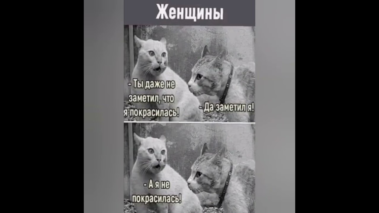 мужчины... женщины... 😉🤣🙈