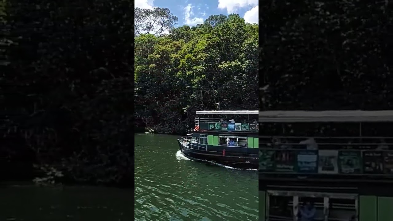 Periyar Reserve #periyartigerreserve #thekkedy