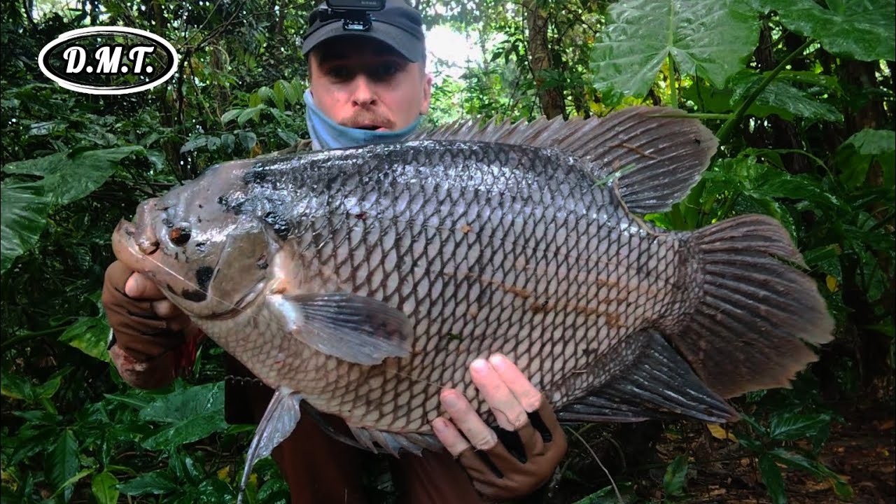 Fishing In Singapore 