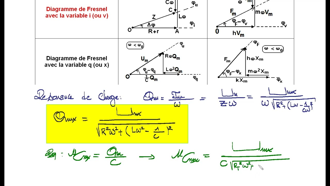 analogie bac sc  partie 1
