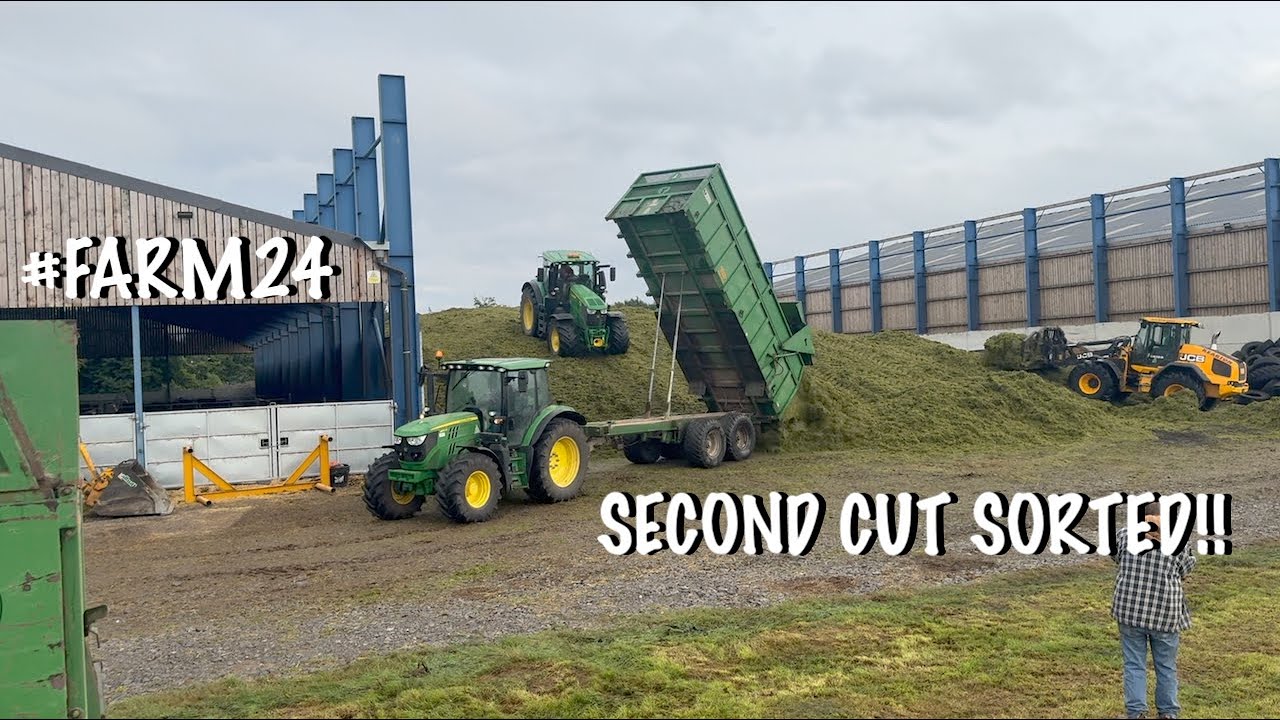 #Farm24 ВТОРОЙ КУРС! ПЫТАЕМСЯ ПЕРЕЖИТЬ ДОЖДЬ!!