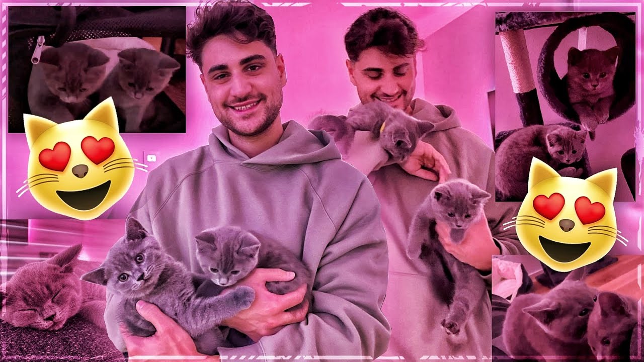 ICH HABE MIR KATZEN GEHOLT😍🐈 Manfred & Diego Vlog mit Melina🔥