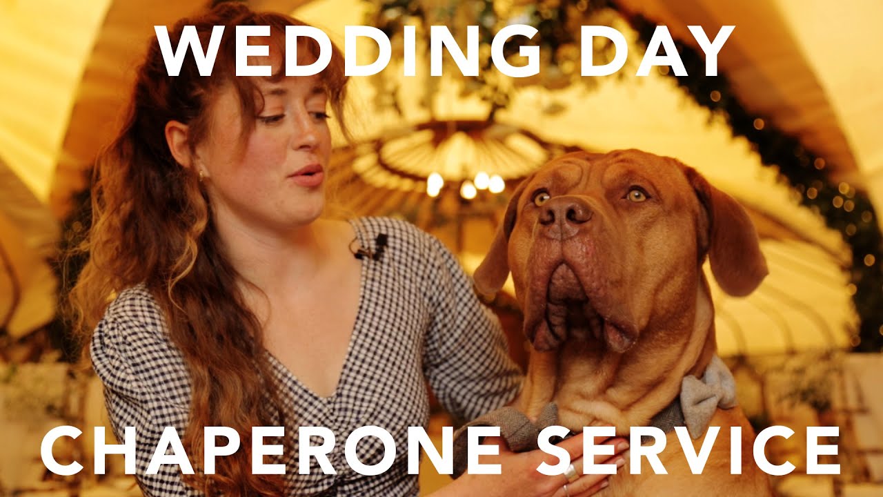 Wedding Day Dog Chaperone Service