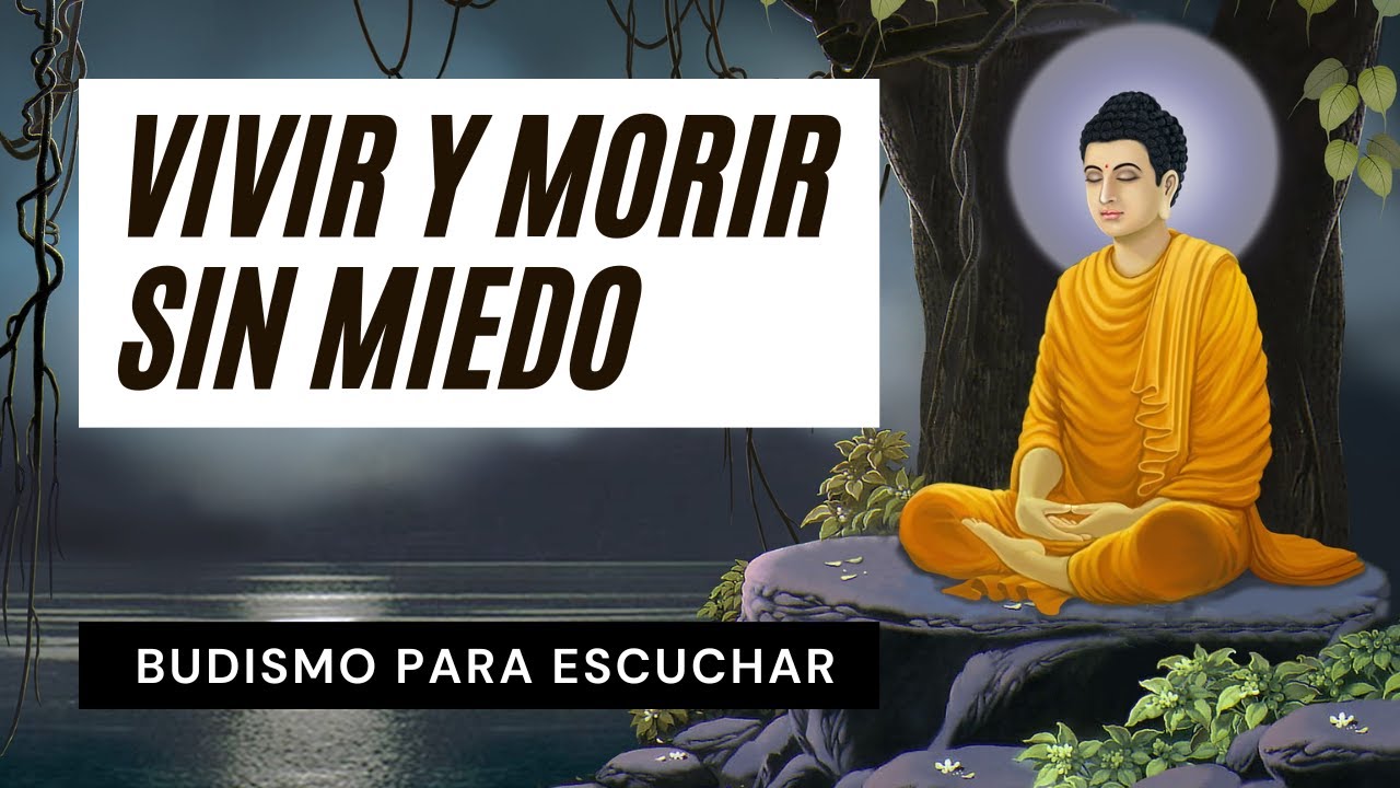 ☸️ La Habilidad de Abandonar y la Capacidad de Descubrir | Perlas Budistas de Sabiduría Milenaria