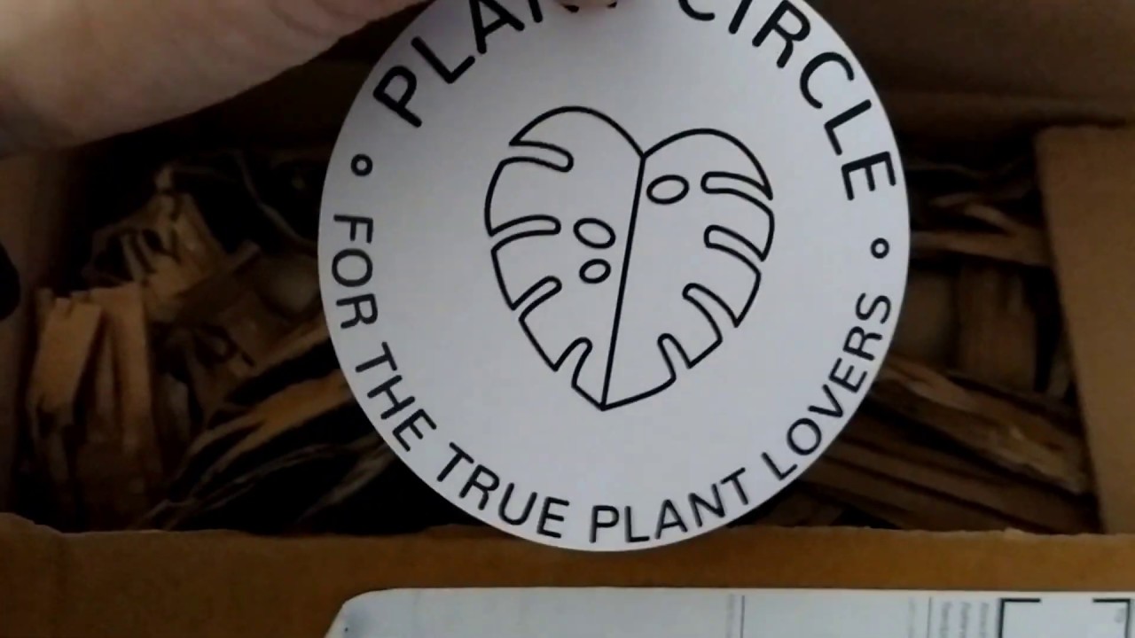 Plant circle plants unboxing | Bought plants online